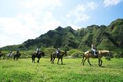 Oahu Activities Oahu Activities